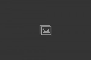 placeholder-2